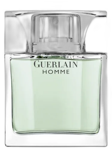 Guerlain Homme Guerlain