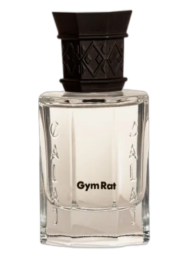 Gym Rat Calaj