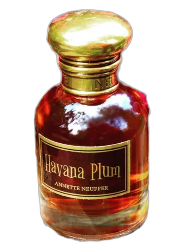 Havana Plum Annette Neuffer