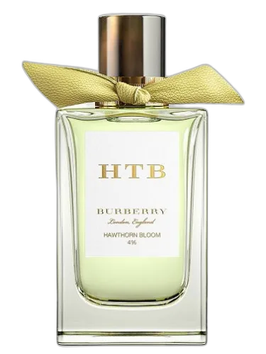 Hawthorn Bloom Burberry by Burberry