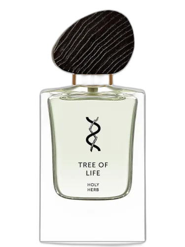 Holy Herb Tree Of Life by Tree Of Life