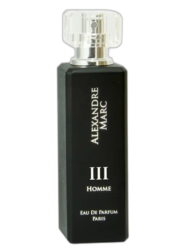 Homme Iii Alexandre Marc by Alexandre Marc