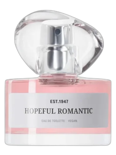 Hopeful Romantic H&m
