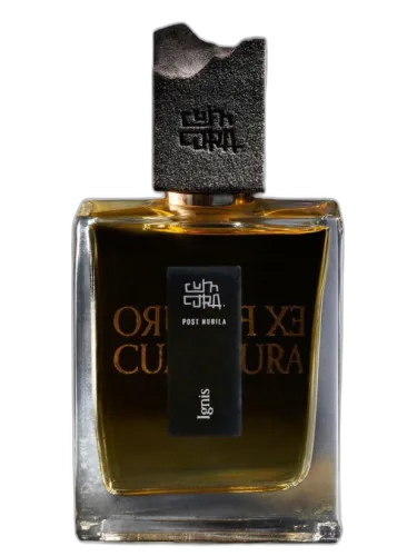 Ignis Cum Cura