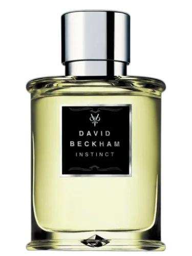 Instinct David Beckham