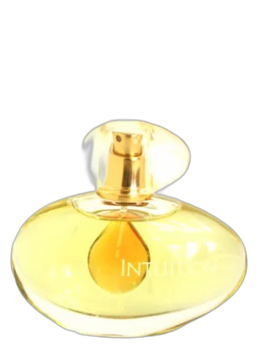Intuition Estée Lauder