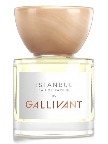 Istanbul Gallivant by Gallivant