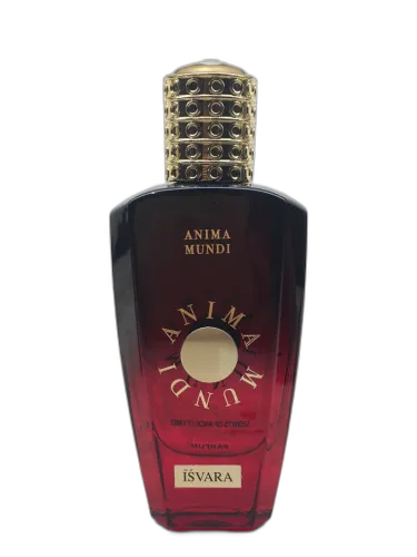 Isvara Anima Mundi by Anima Mundi