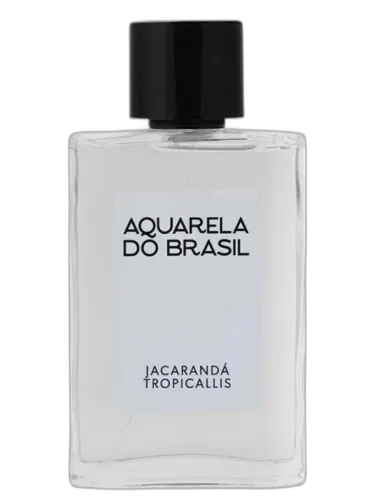 Jacarandá Tropicallis Aquarela Do Brasil by Aquarela do Brasil