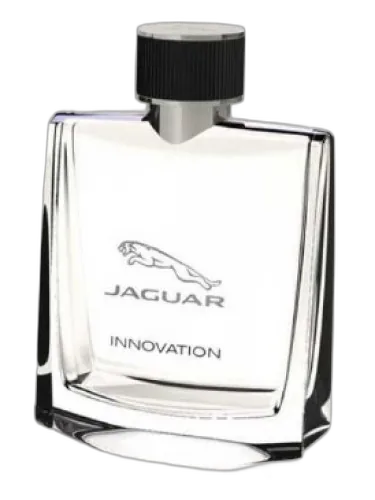 Jaguar Innovation Jaguar by Jaguar