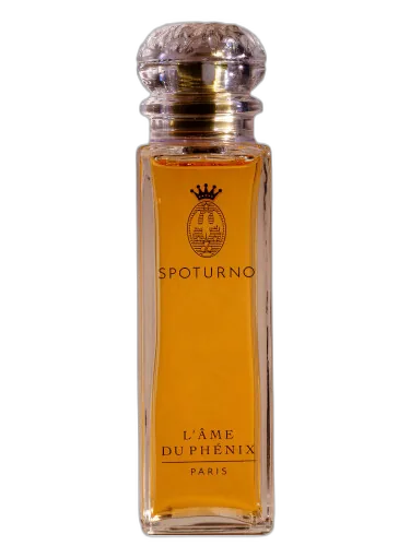 L'âme Du Phénix Spoturno by Spoturno