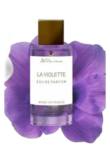 La Violette Au Pays De La Fleur D’oranger