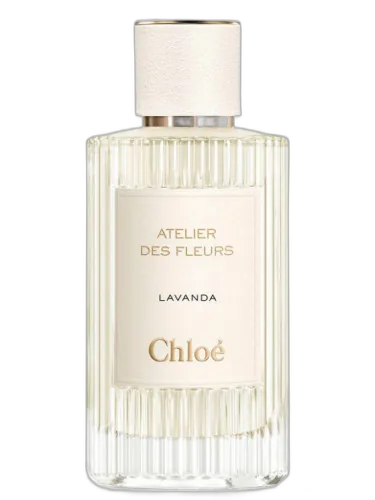 Lavanda Chloé