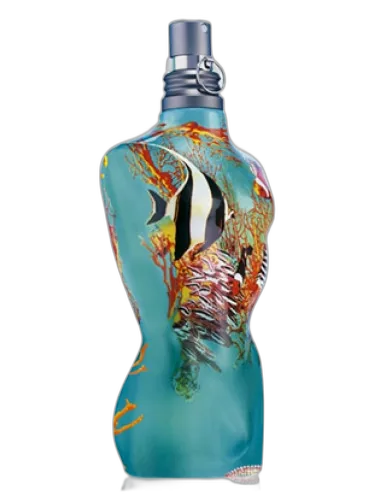 Le Male Les D'ete 2005 Jean Paul Gaultier by Jean Paul Gaultier