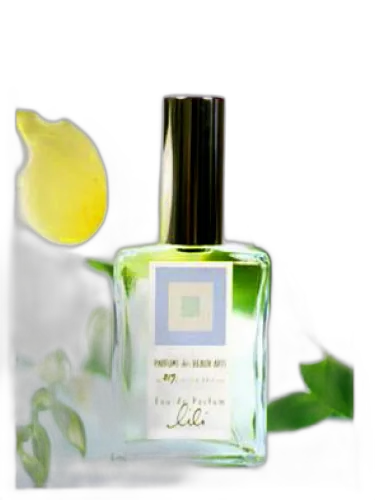 Lili Dsh Perfumes by DSH Perfumes