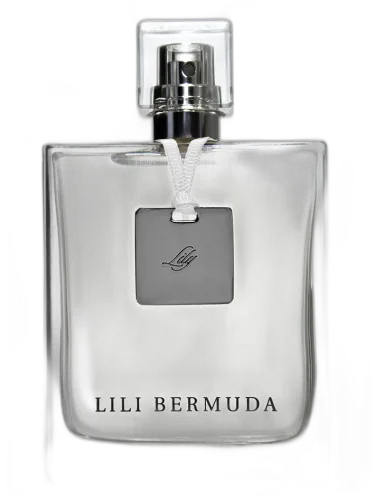 Lily Lili Bermuda