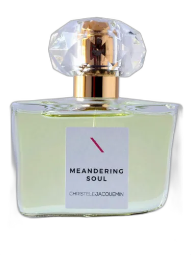 Meandering Soul Christèle Jacquemin by Christèle Jacquemin