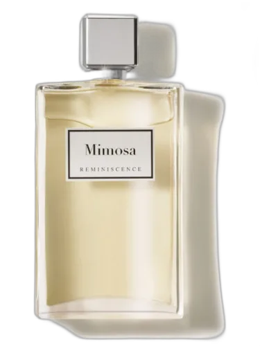 Mimosa Reminiscence