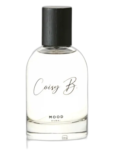 Mood Coisy B. by Coisy B.
