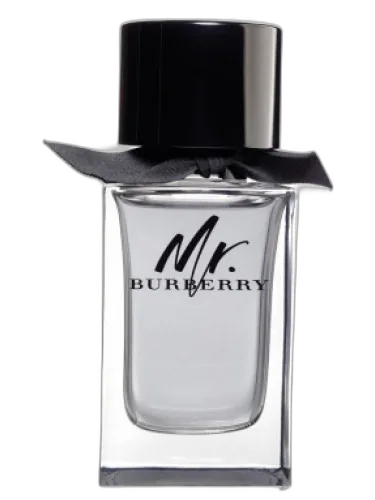 Mr. Burberry Burberry by Burberry