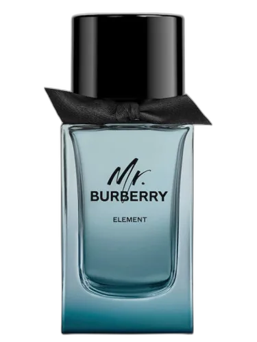 Mr. Burberry Element Burberry by Burberry