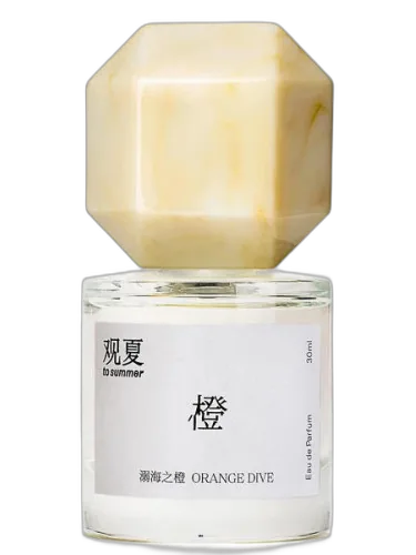 Orange Dive 溺海之橙 To Summer | 观夏