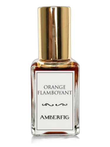 Orange Flamboyant Amberfig