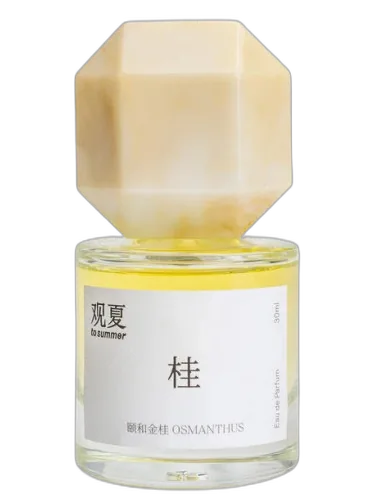 Osmanthus 颐和金桂 To Summer | 观夏