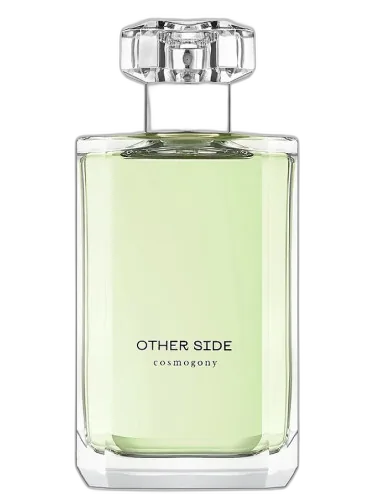 Other Side Cosmogony