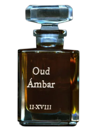 Oud Ambar Fueguia 1833 by Fueguia 1833