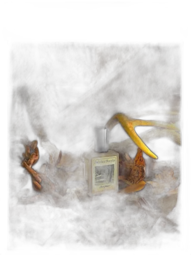 Outpost Solstice Scents
