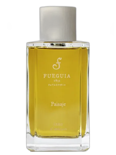Paisaje Fueguia 1833 by Fueguia 1833