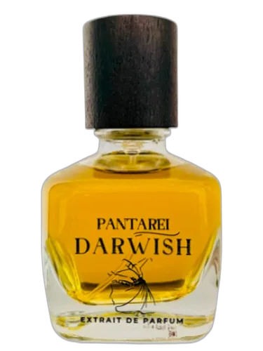 Pantarei Darwish Pantarei by PantaRei