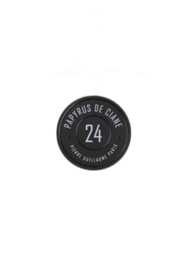 Papyrus De Ciane 24 Pierre Guillaume Paris