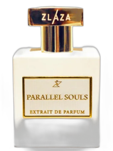 Parallel Souls Zlaza