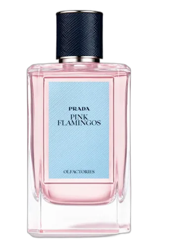 Pink Flamingos Prada by Prada