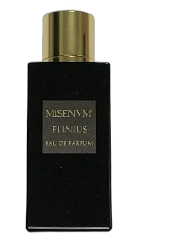Plinius Misenum