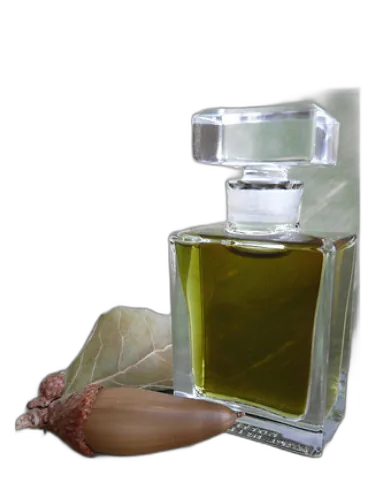 Q Roxana Illuminated Perfume