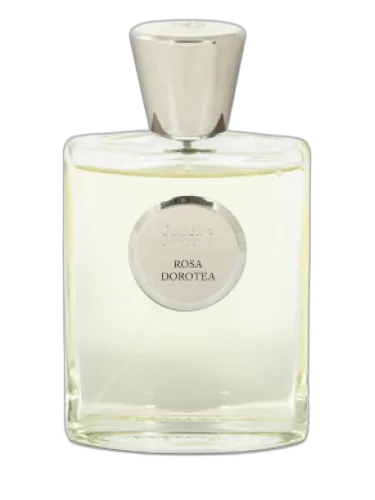Rosa Dorotea Giardino Benessere by Giardino Benessere
