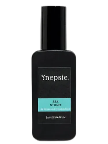 Sea Storm Ynepsie by Ynepsie