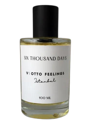 Six Thousand Days Otto Feelings by Otto Feelings