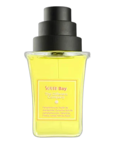 South Bay The Different Company
