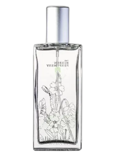Spring Harvest Burren Perfumery by Burren Perfumery