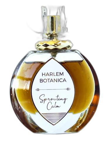 Sprouting Calm Harlem Botanica by Harlem Botanica