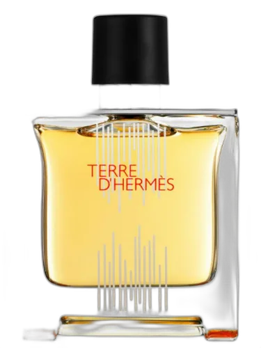 Terre D'hermes Flacon H 2021 Parfum Hermès
