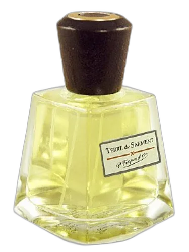 Terre De Sarment Frapin by Frapin